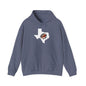 Texas Football Hoodies