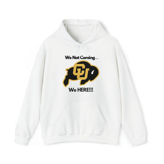 We Not Coming We Here Unisex Heavy Blend™ Hooded Sweatshirt