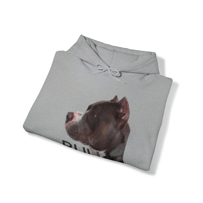 Bully Dog Unisex Heavy Blend™ Hooded Sweatshirt