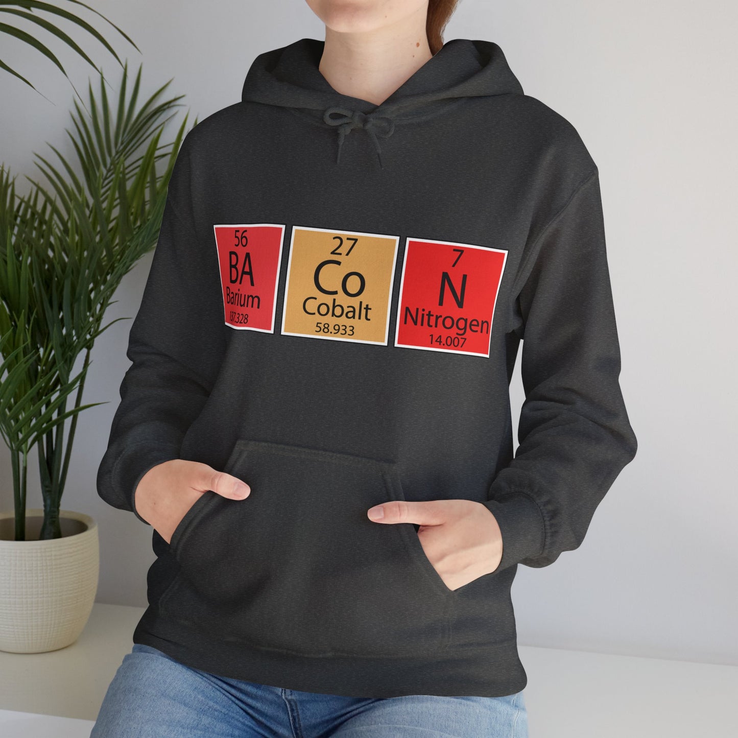 Bacon Hoodie