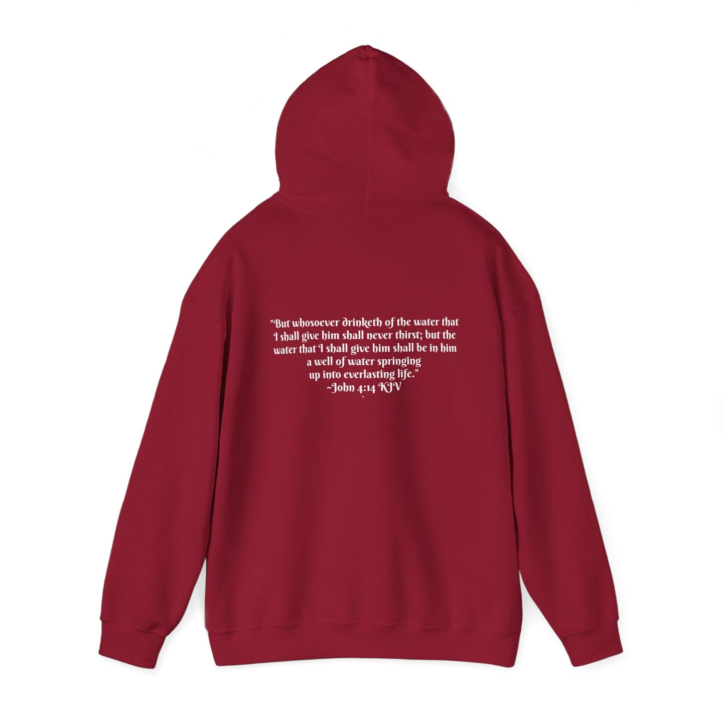 FOLM: Option 2 CHURCH John 4:14 HOODIE